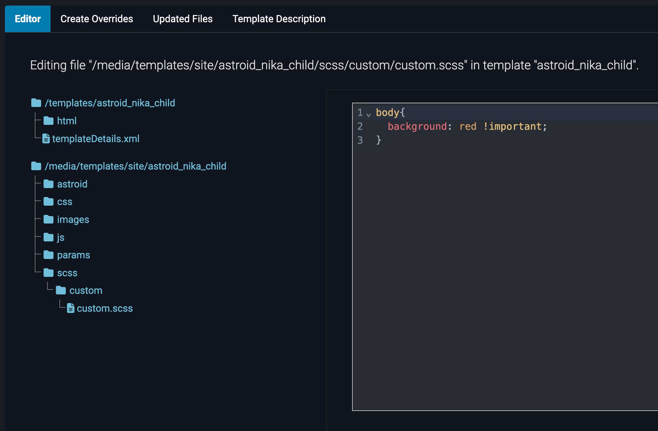 customscss.jpg